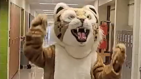 WIldcat
