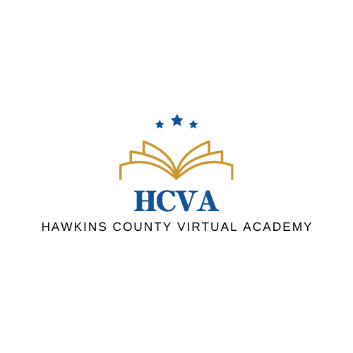 Virtual Academy Logo