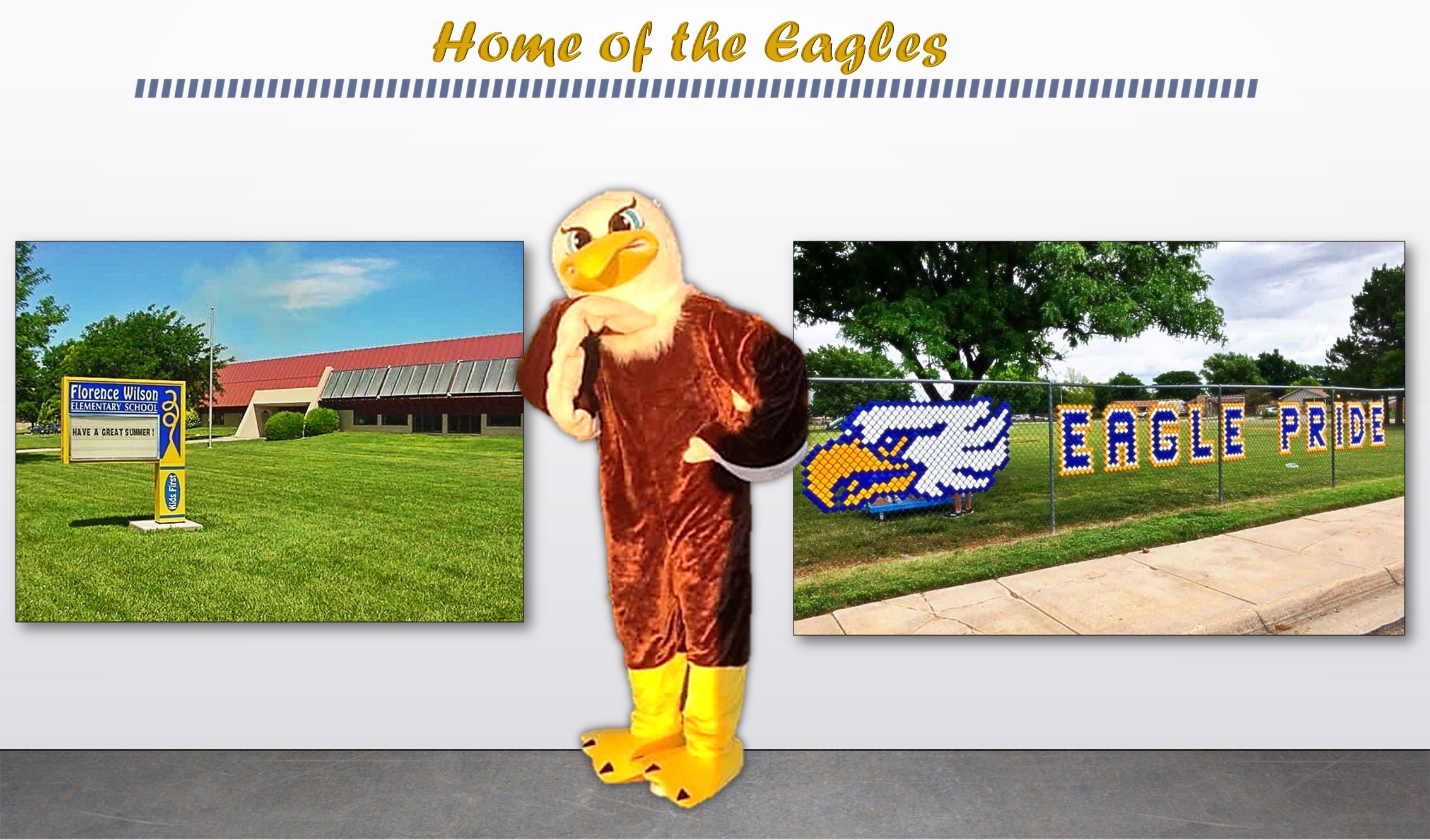 Home of the Eagles School pic