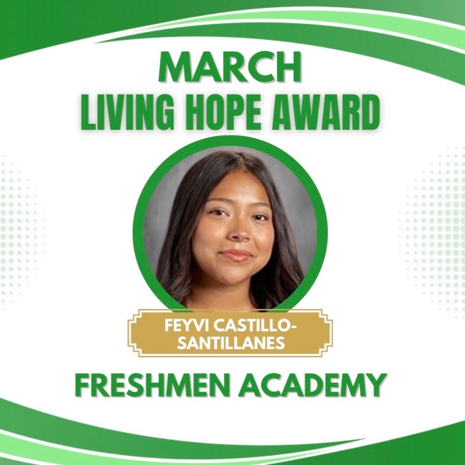 Feyvi Castillo-Santillanes