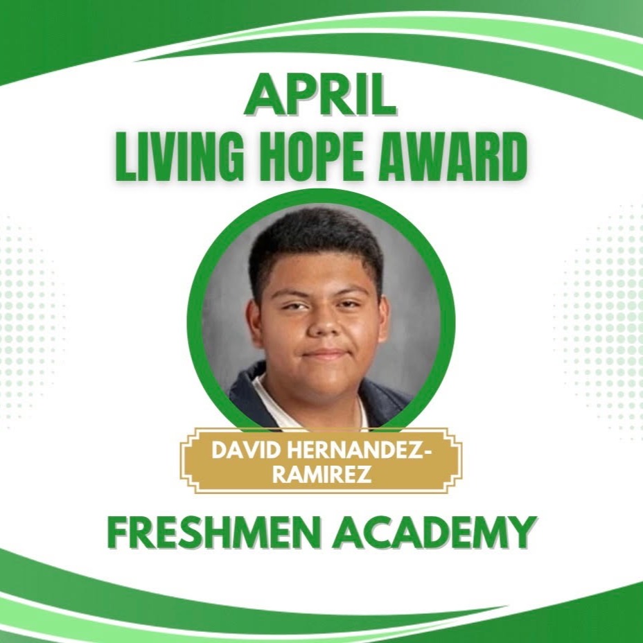 Feyvi Castillo-Santillanes