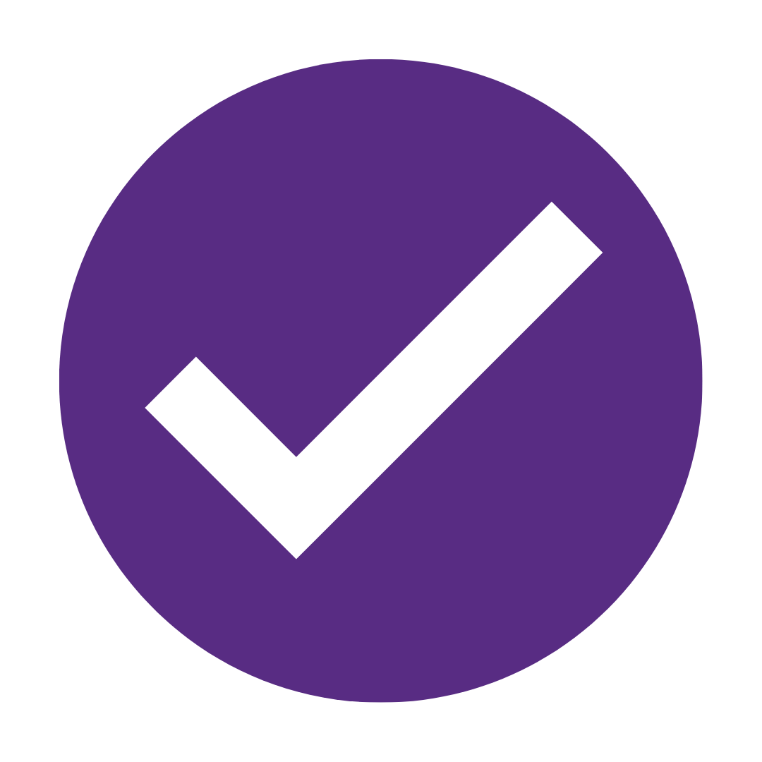 Check Mark Icon