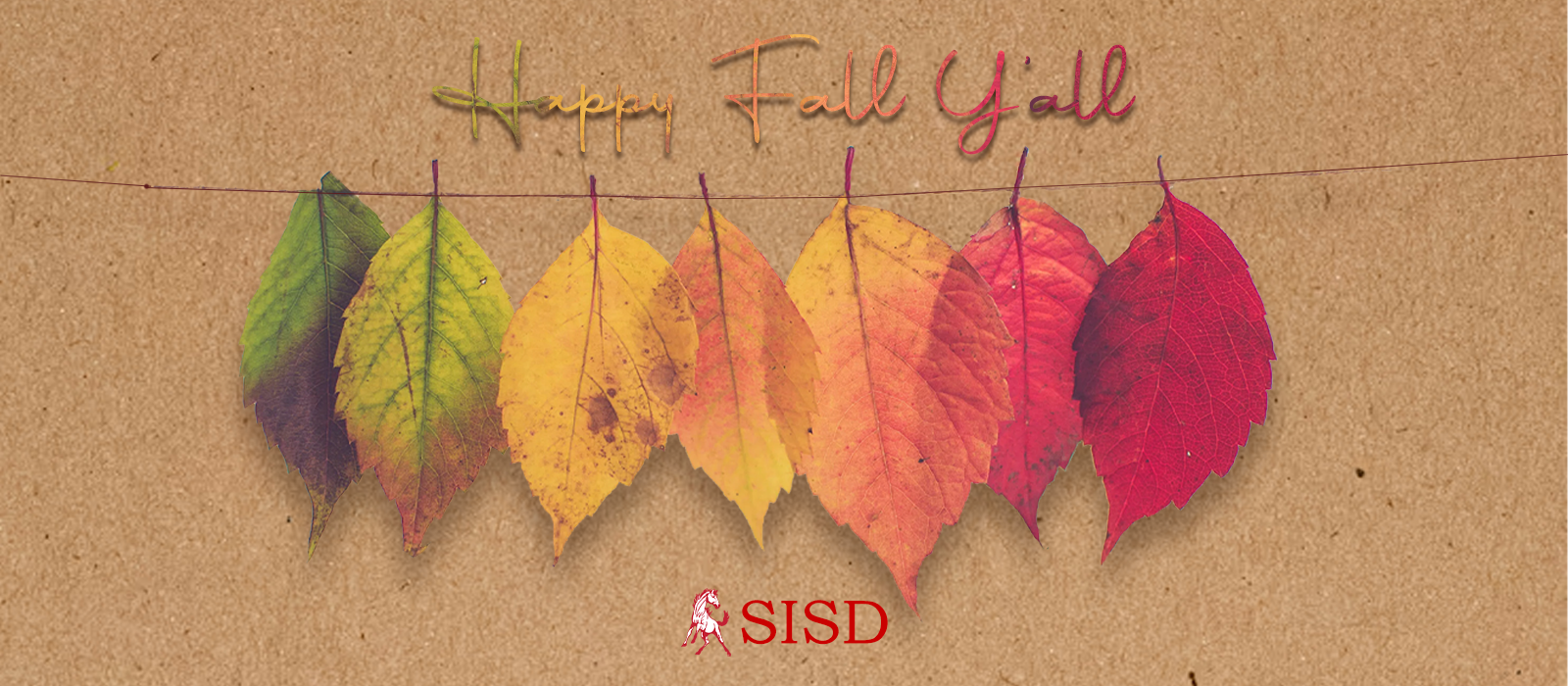 Leaves in autumn colors of green, yellow, orange, and red hang on a brown background.