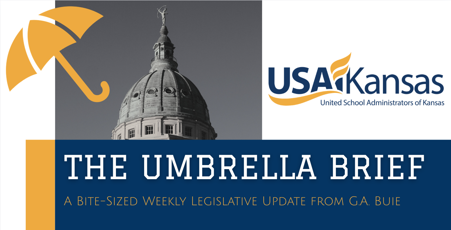 The Umbrella Brief