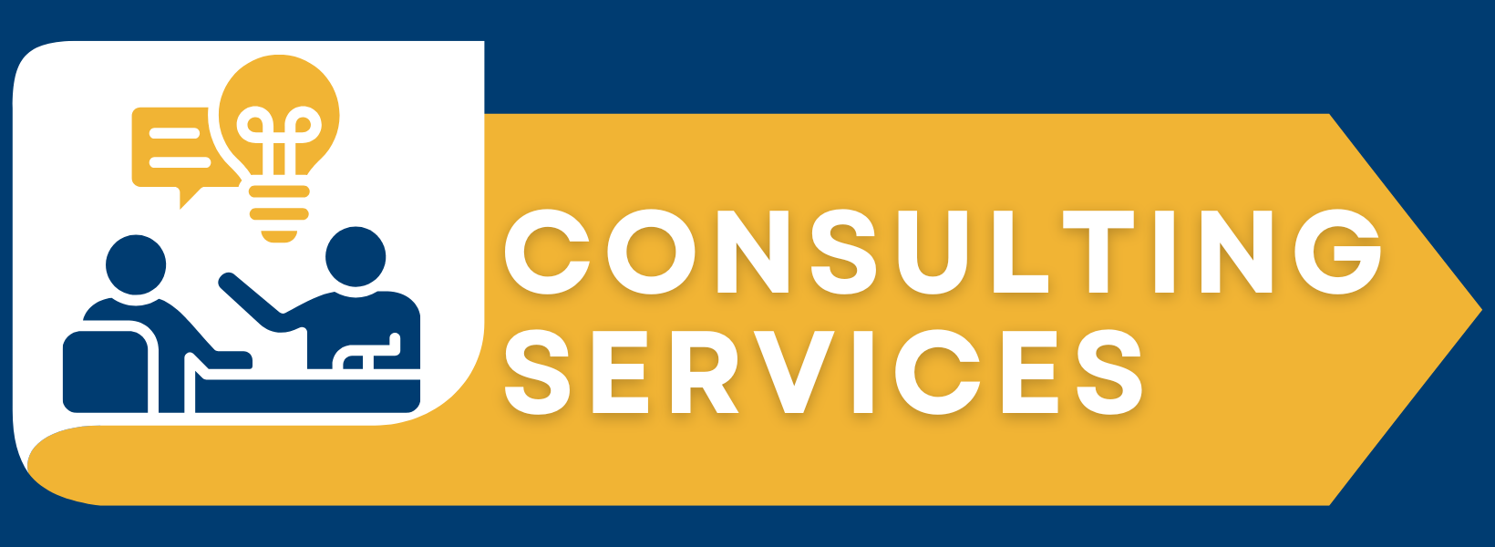 Consulting Services