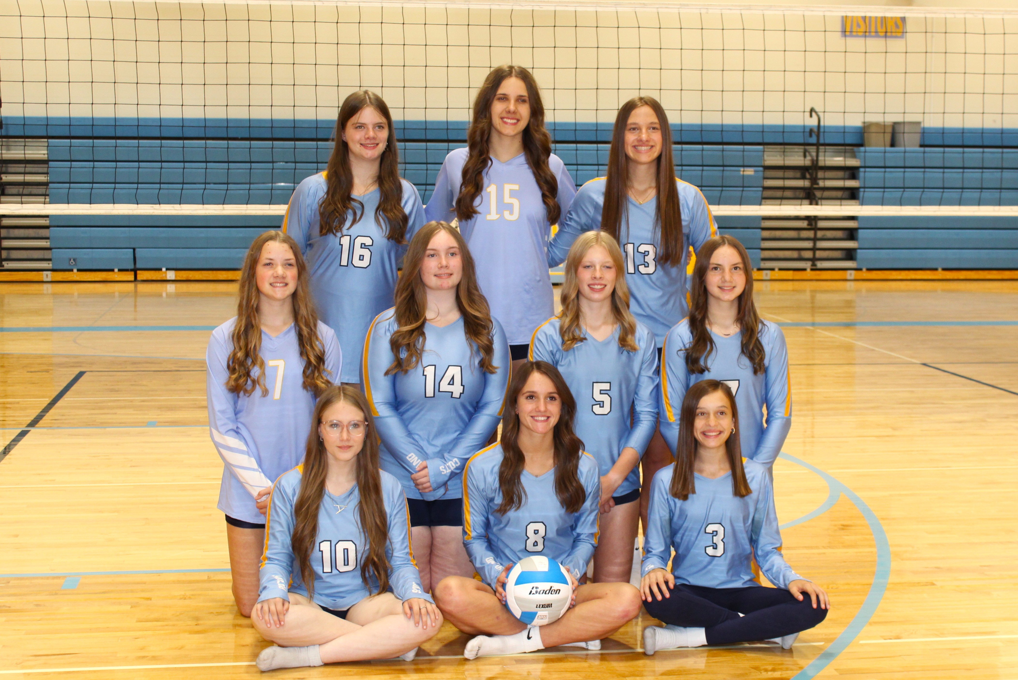 jv