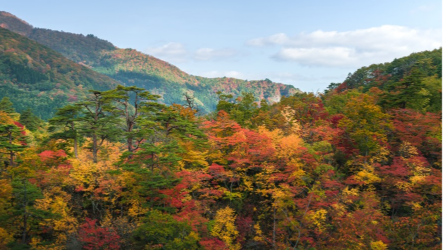 Fall mountain landscape image