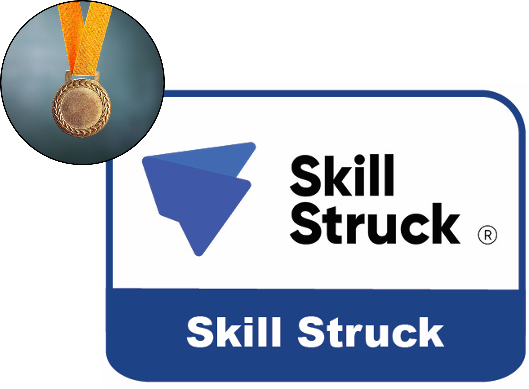 Skill Struck logo