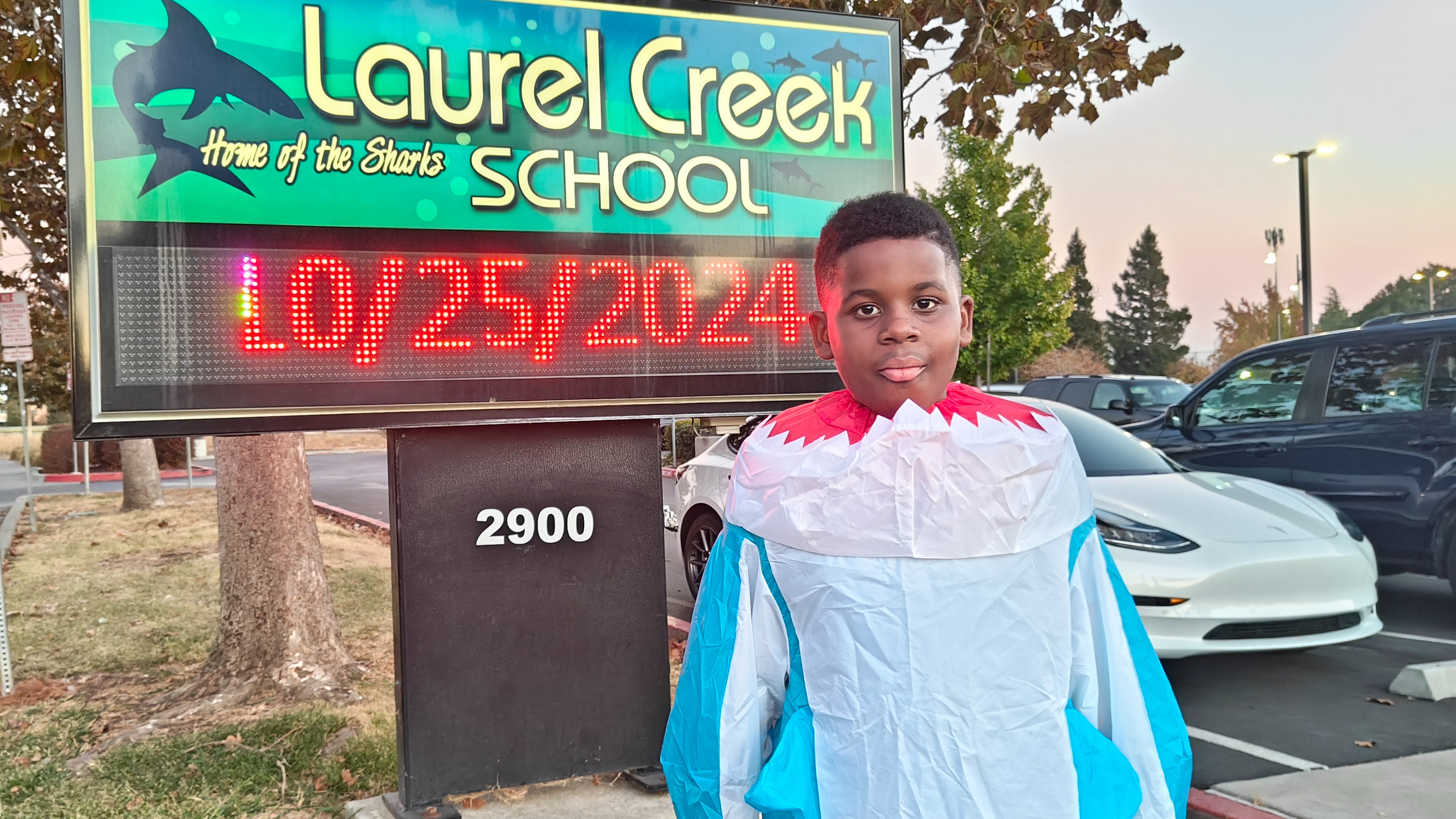 Trunk or Treat picture of student in shark costume