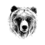 A black bear