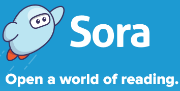 Sora image