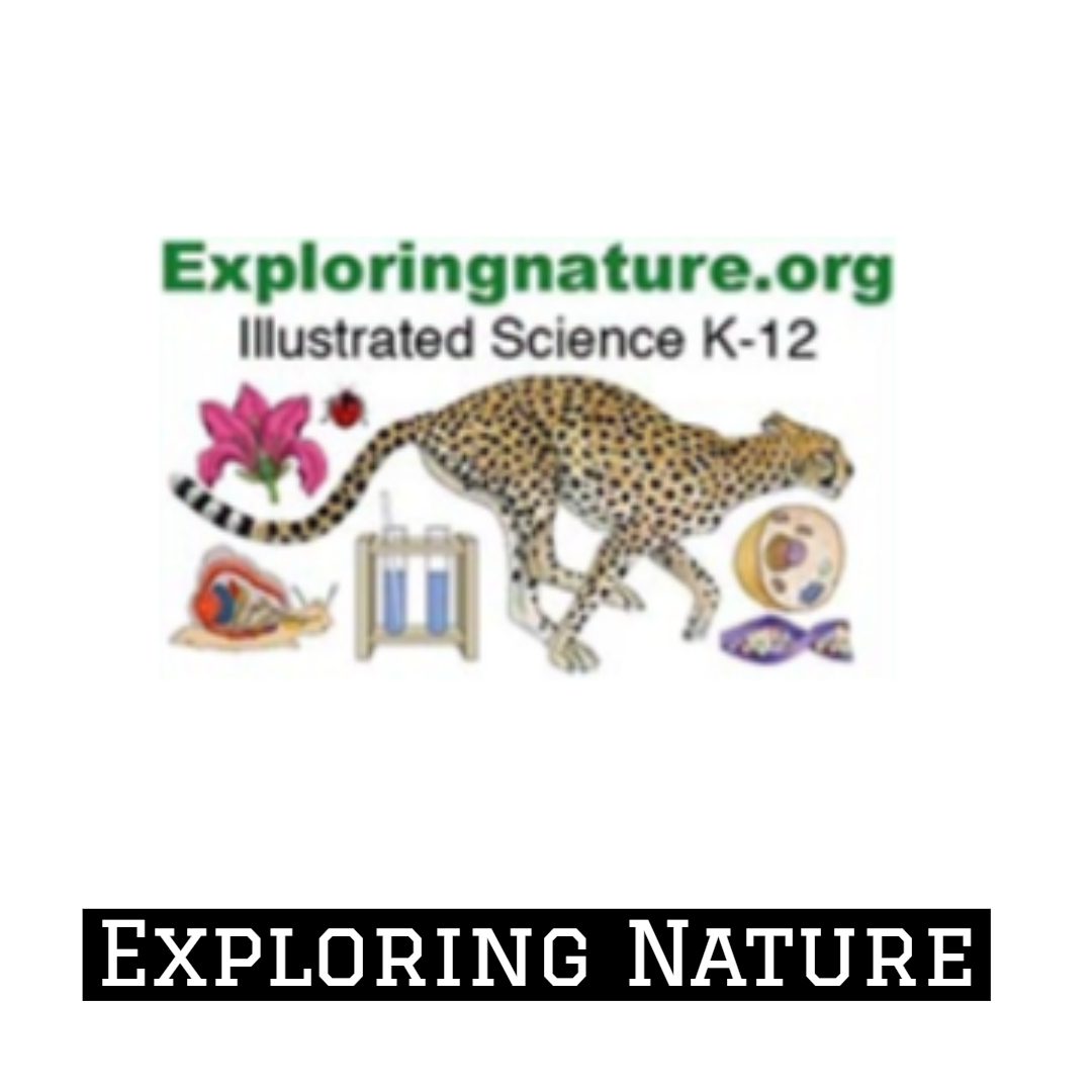 squareexploringnature