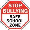 safe school zone