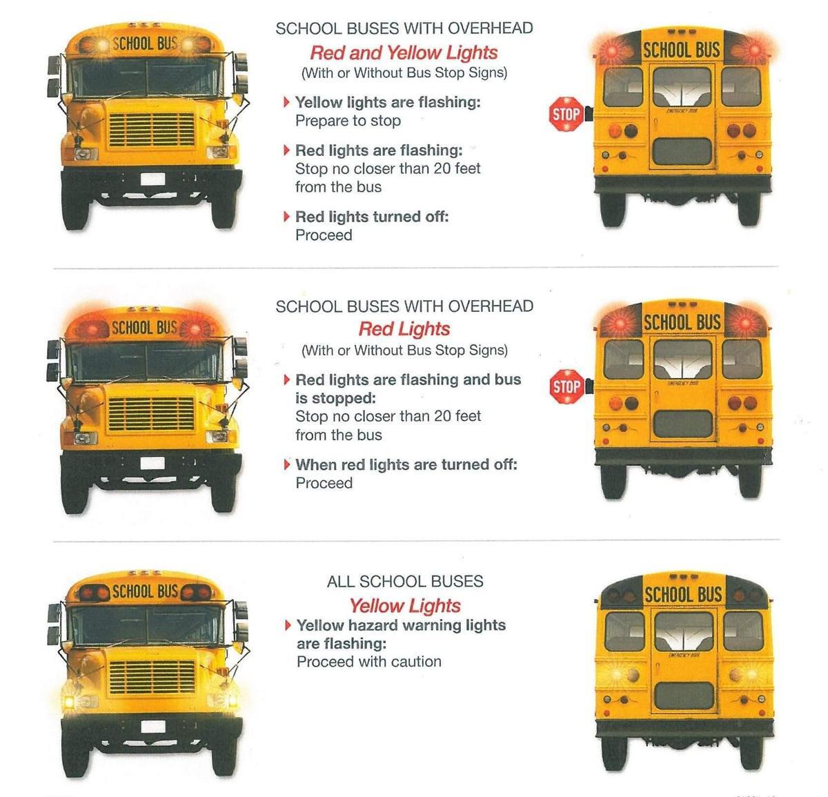 school bus light procedures