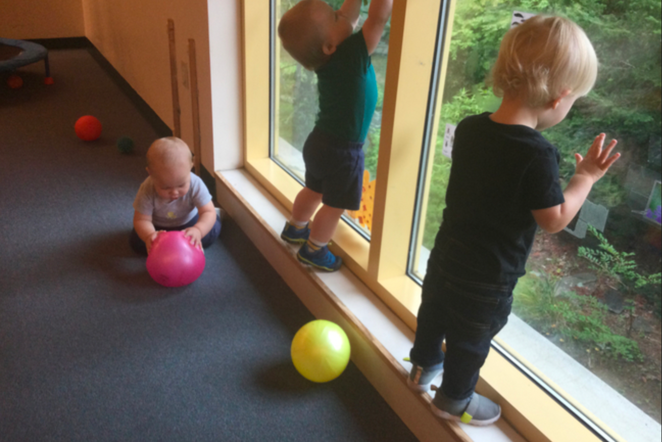Young Toddlers in window