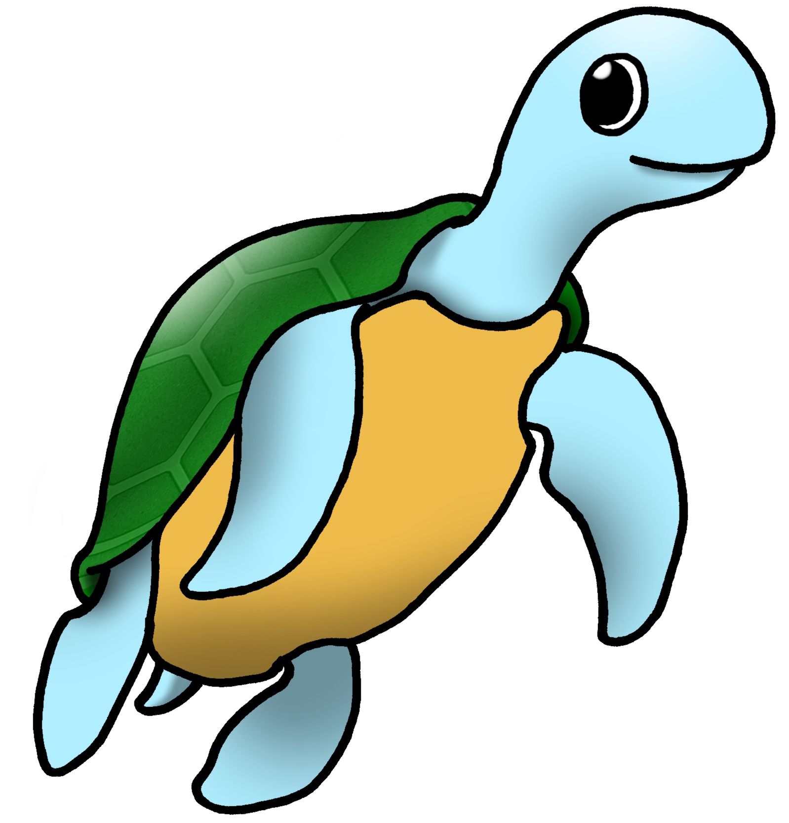 sea turtle