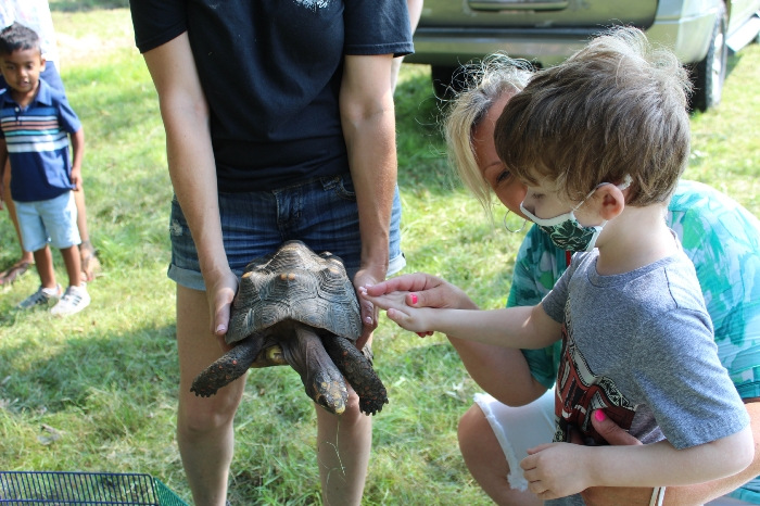a kid with a turtle