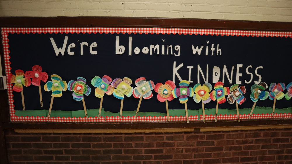 Home | Radburn Elementary