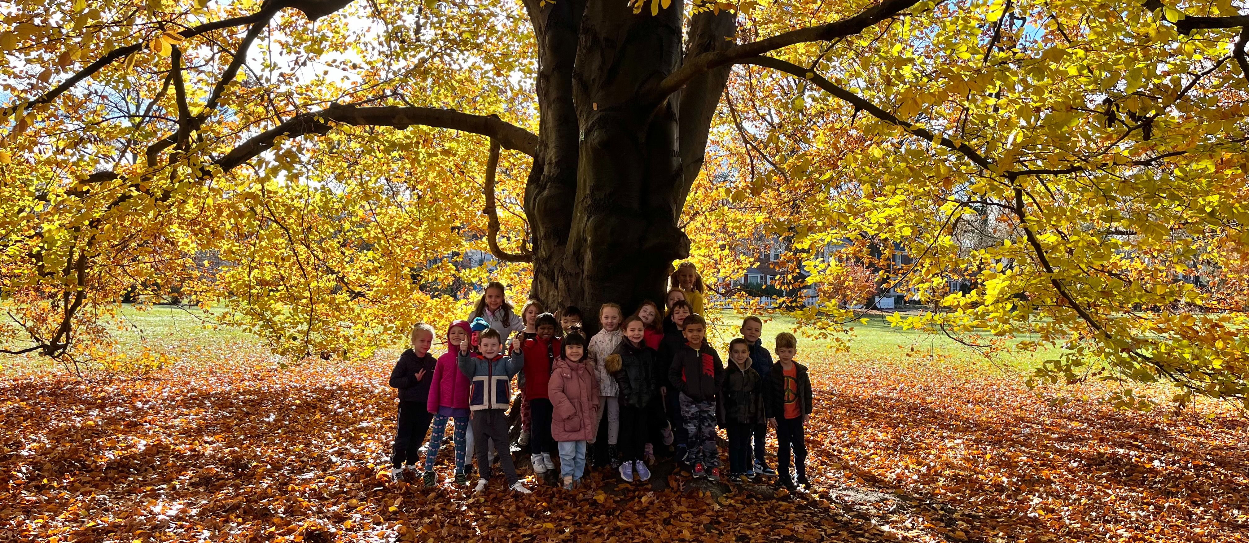 Students by a Fall Tree