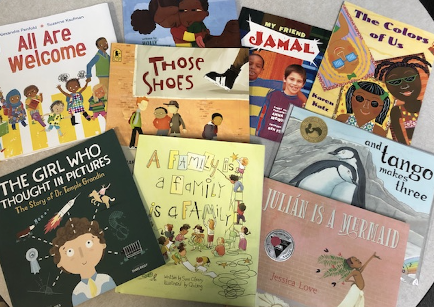 Books at Village Elementary that are about children with differences