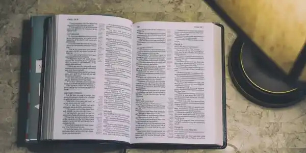 Pages of the Bible