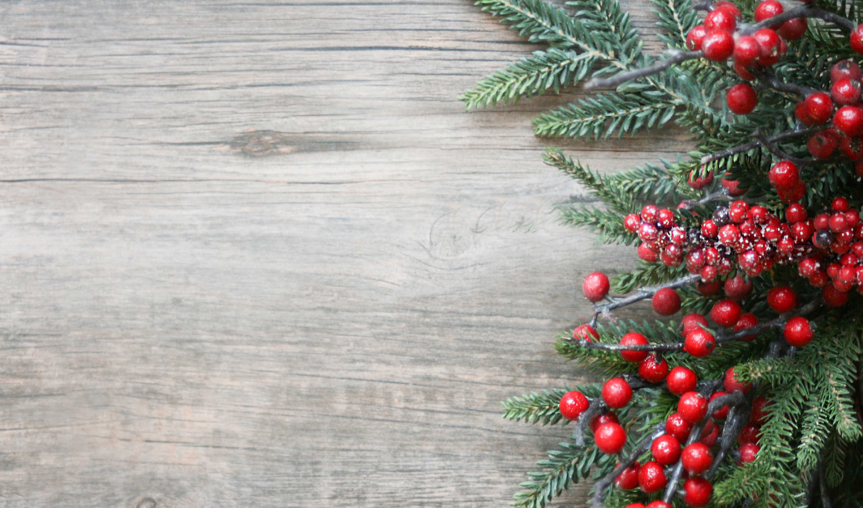 A close-up, flat lay image of a Christmas border featuring fresh evergreen pine branches and bright red, clustered holly berries (some lightly frosted) against a rustic, gray-brown distressed wooden background.