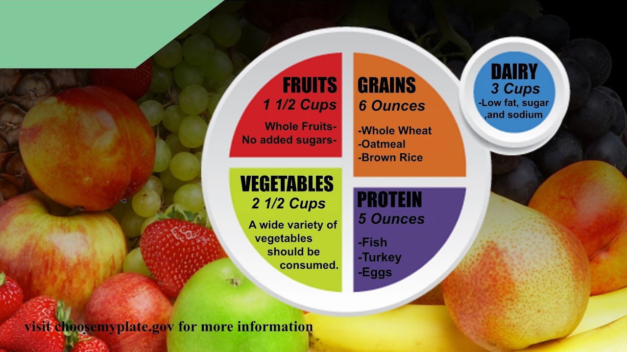 food plate diagram