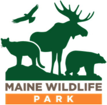 maine wildlife park logo