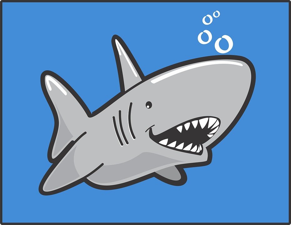 Search Shark link logo