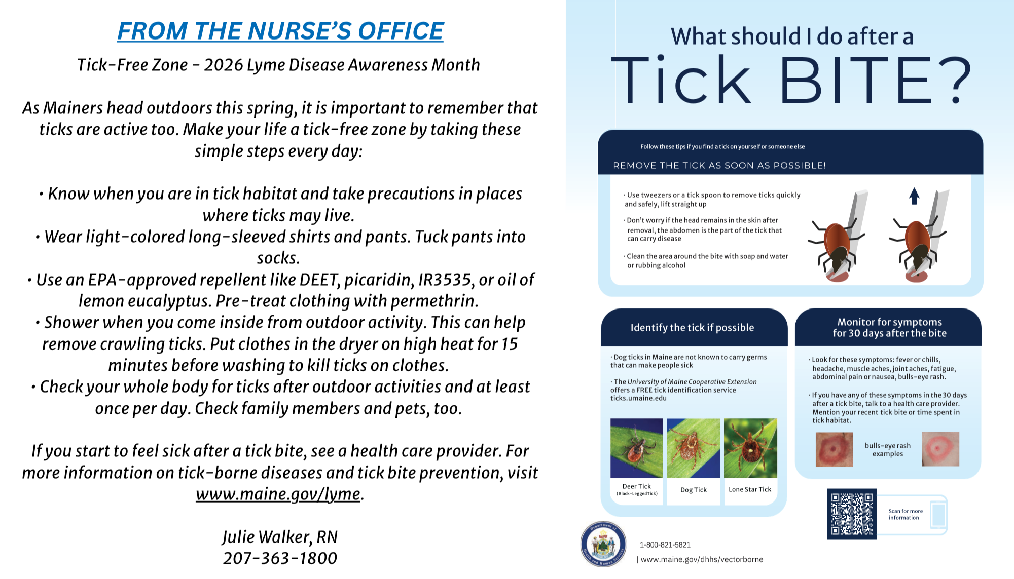 Tick Information