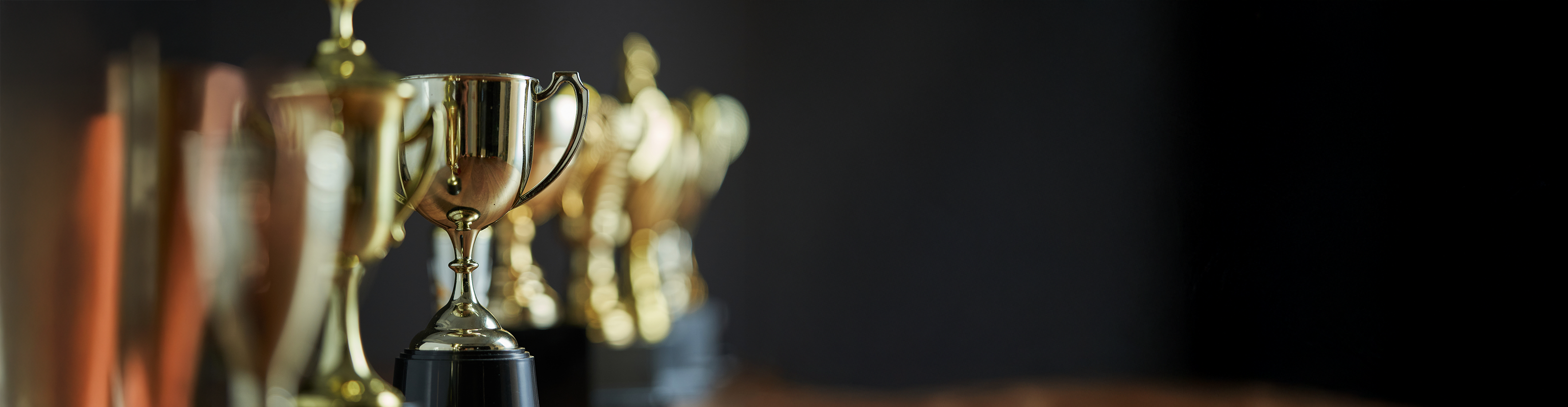 Banner showing photo of a golden trophy in focus, with other trophies out of focus on either side of it in a row