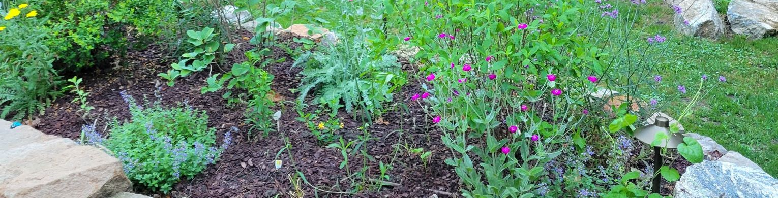 Outdoor garden