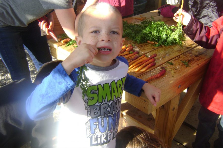 A young student eating a garden-raised vegetable