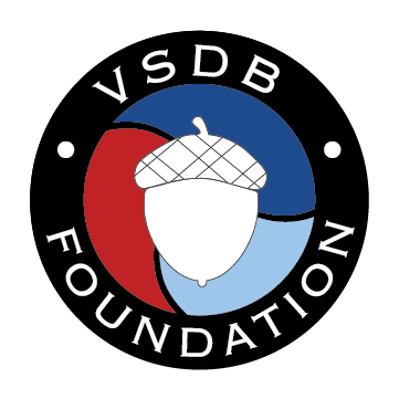 vsdb foundation logo image
