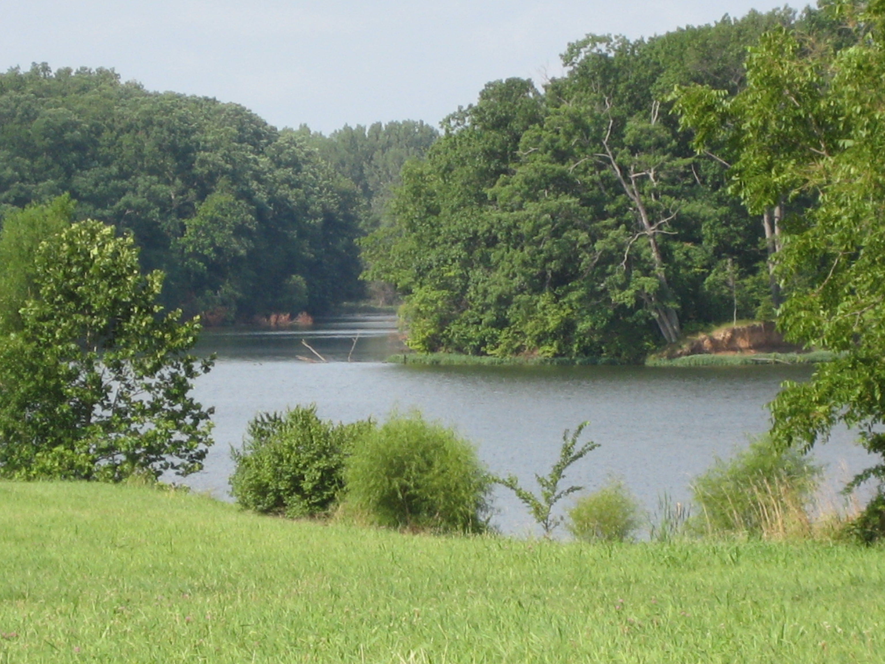 pittsfield lake framed by green grass and trees