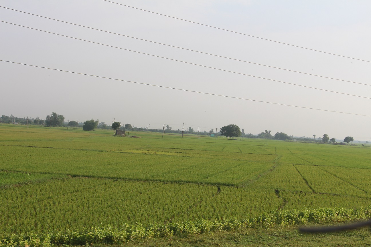 CTE Farm