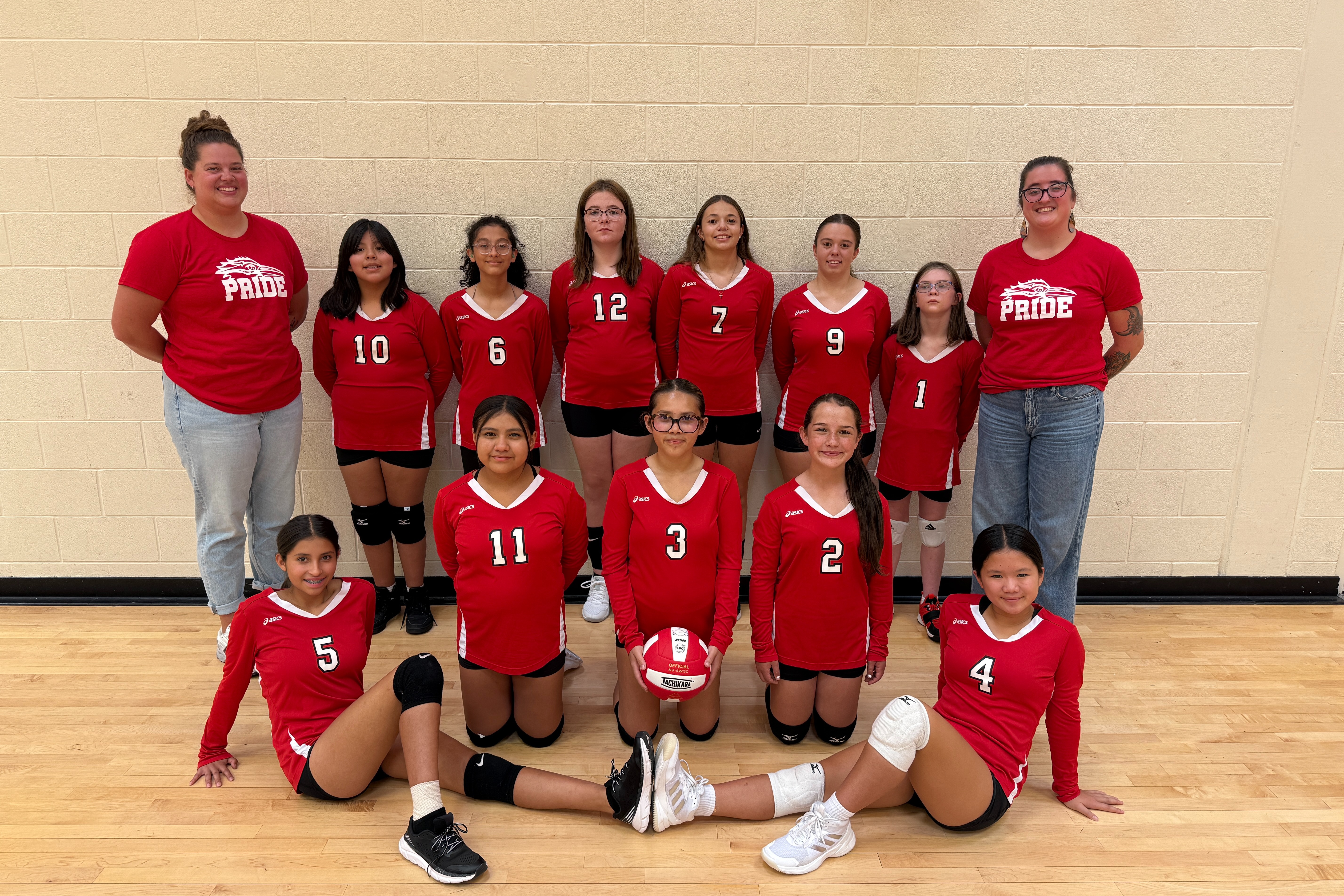 MS volleyball photo