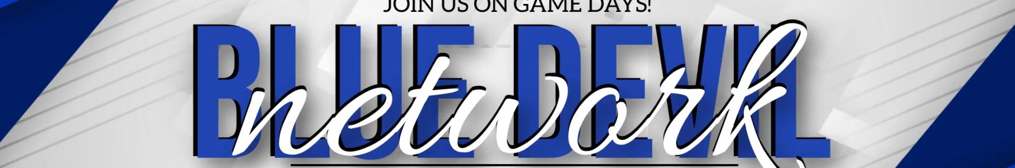 Blue Devil Networik