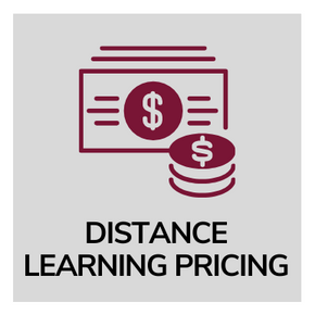 Distance Learning Pricing Icon
