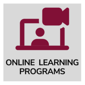 Online Learning Programs Icon