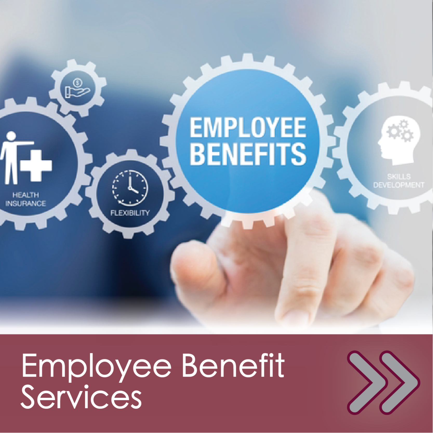 DCMO BOCES Employee Benefits Services