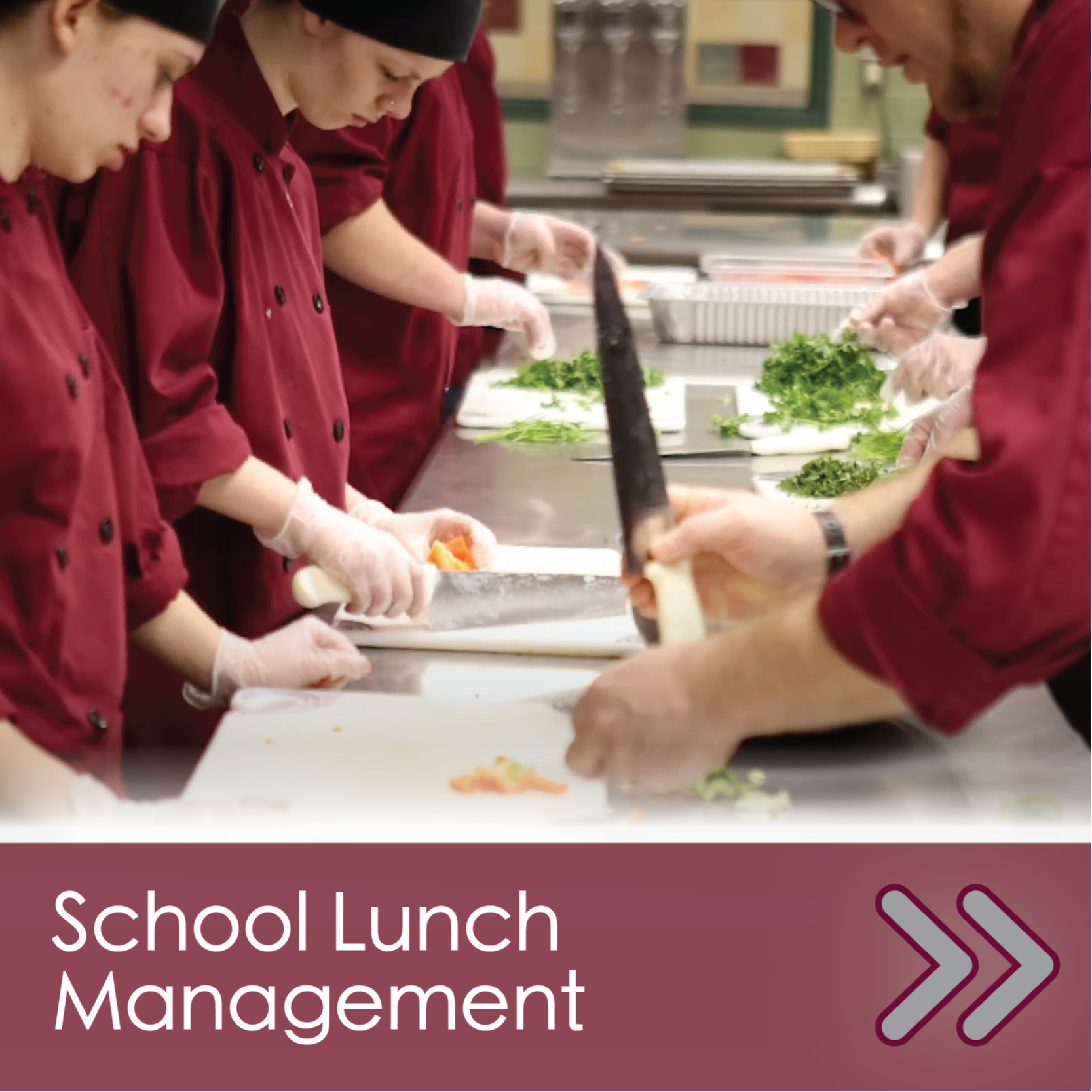 DCMO BOCES School Lunch Management