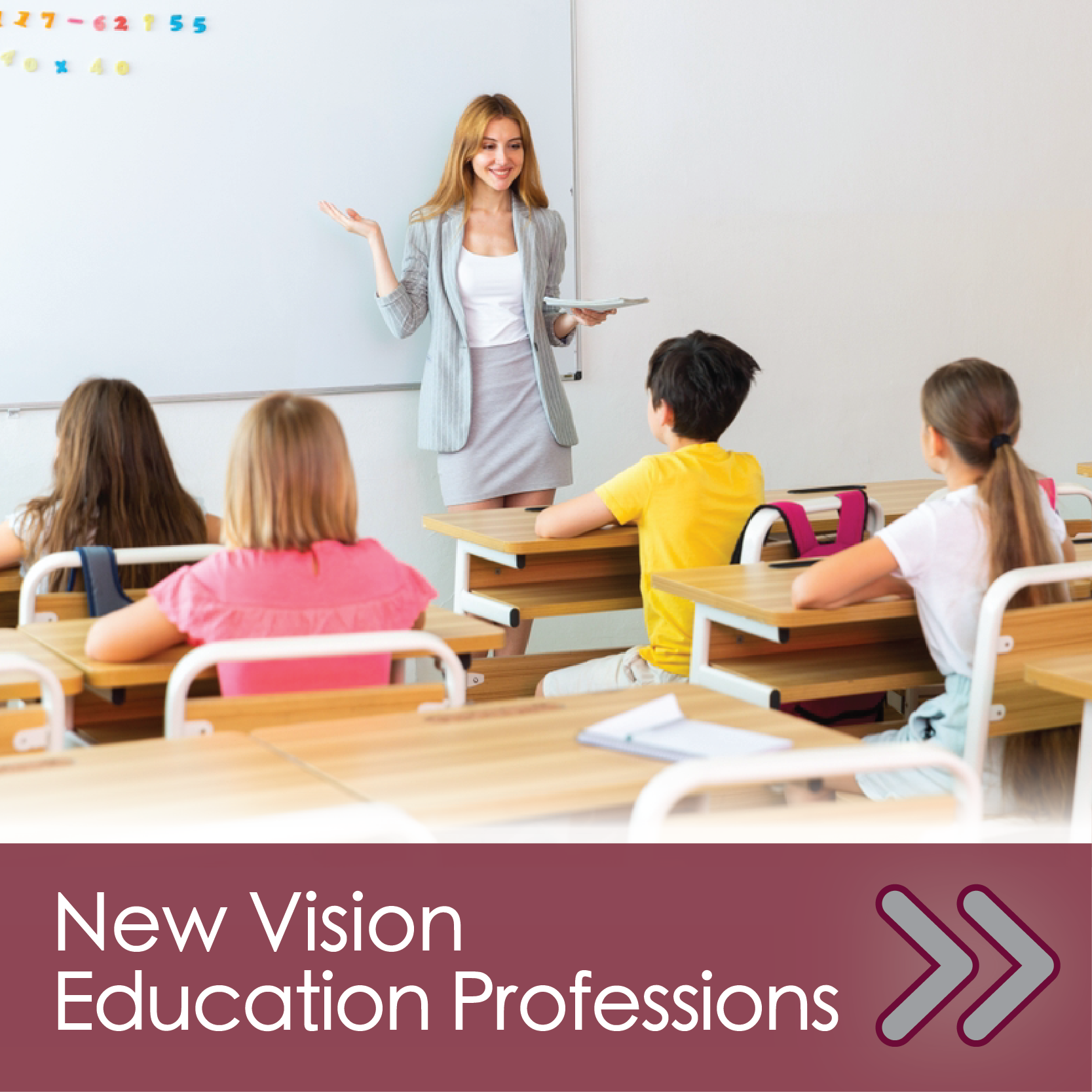 DCMO BOCES New Vision Education Professions Program