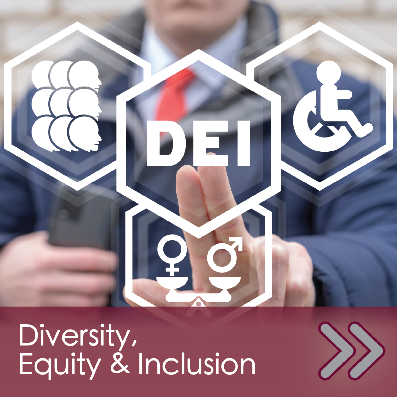 DCMO BOCES Diversity, Equity and Inclusion Navigation Link