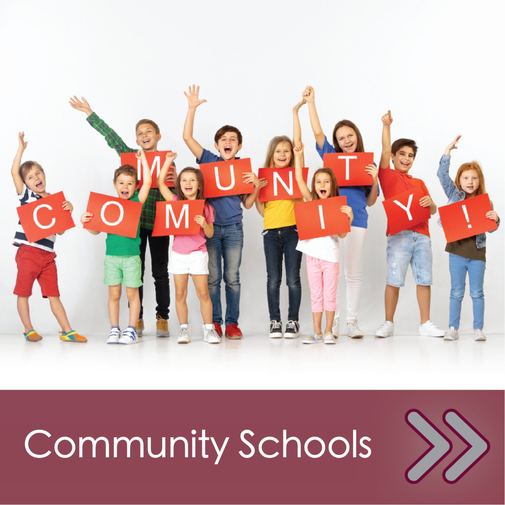 DCMO BOCES Community Schools Navigation Link