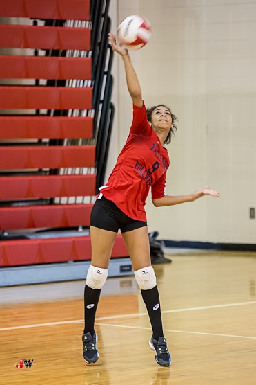 Photo of a volleyball player.