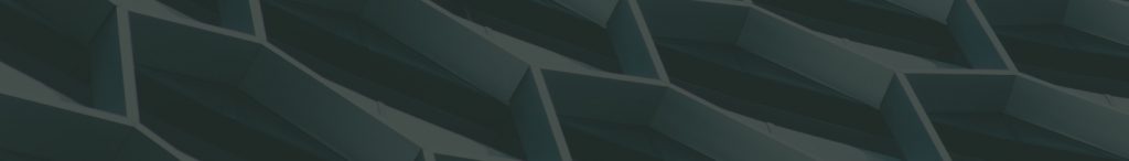 Capital Assets