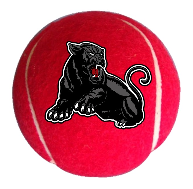 Panther Tennis Ball