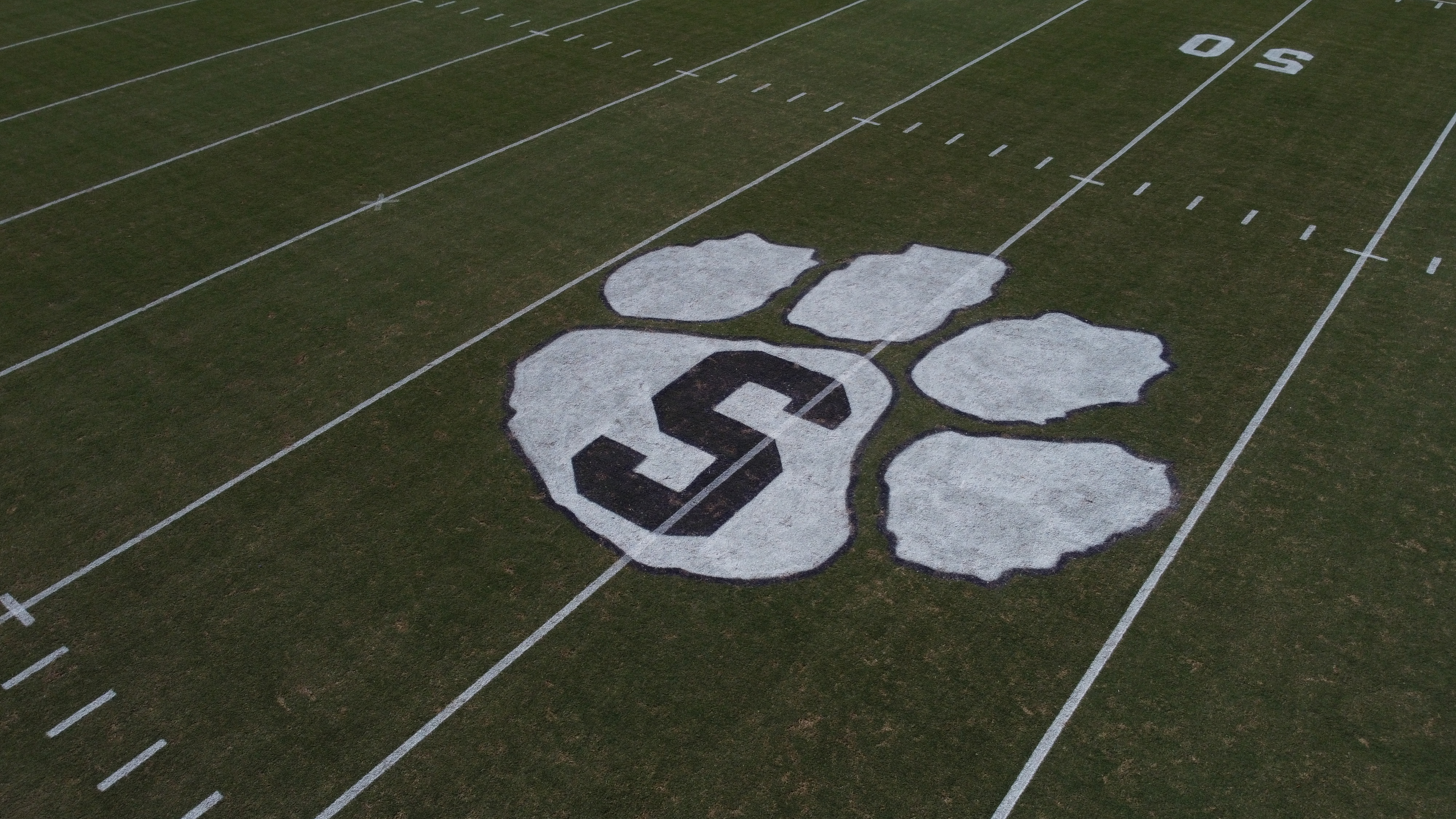 Stadium tiger paw image