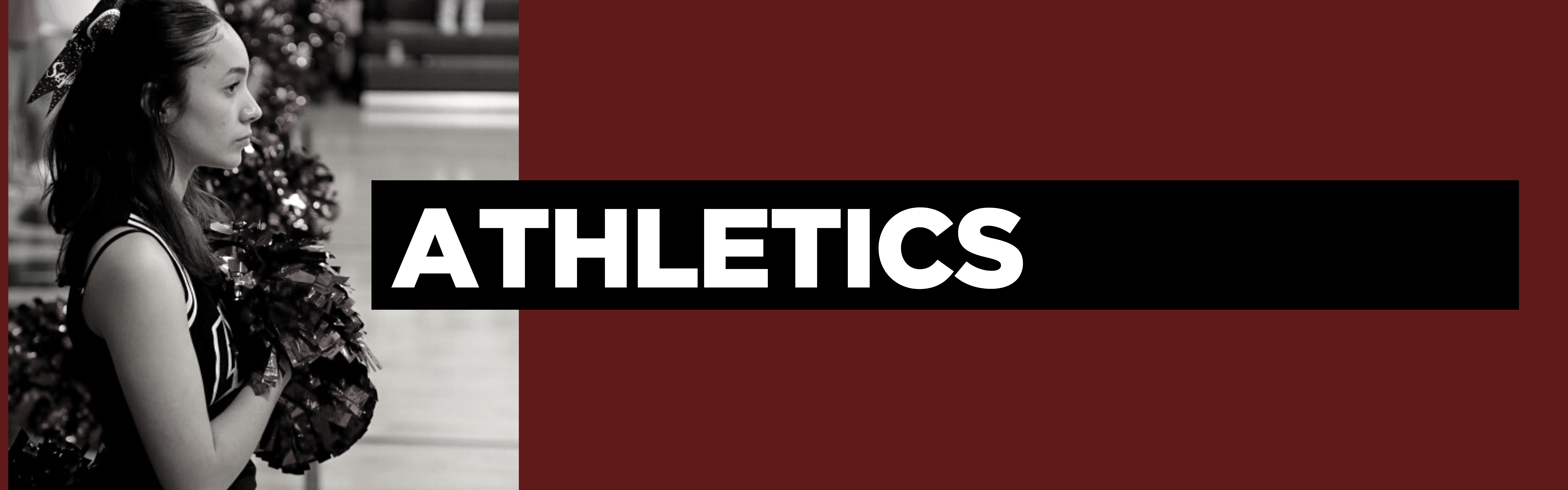 Faith Christian Academy, FL- Athletics Web Banner